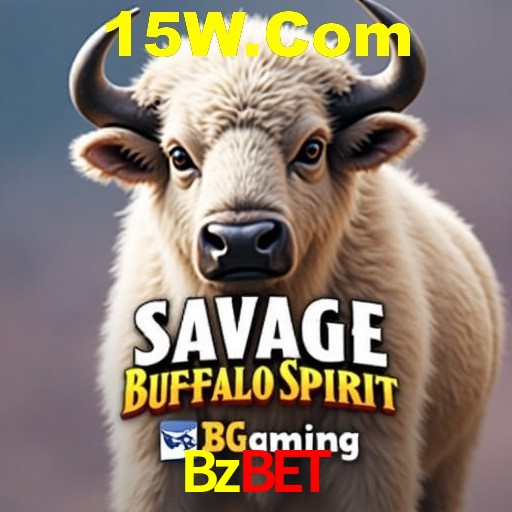 Interface Premium Bzbet